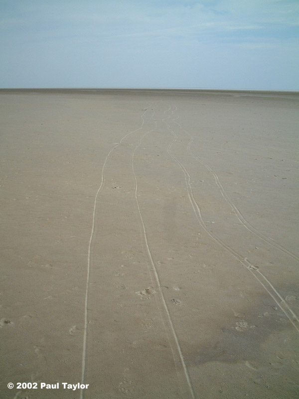 Nordsee243