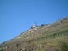 Mosel083