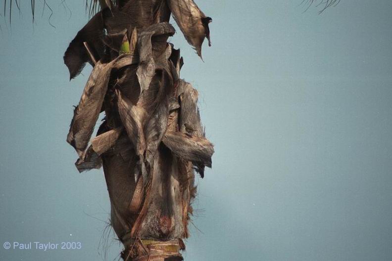 Natur604