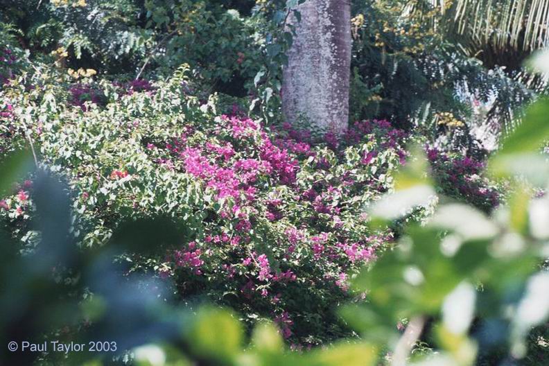 Natur638