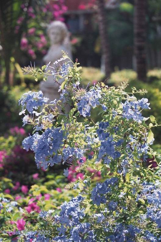 Natur639