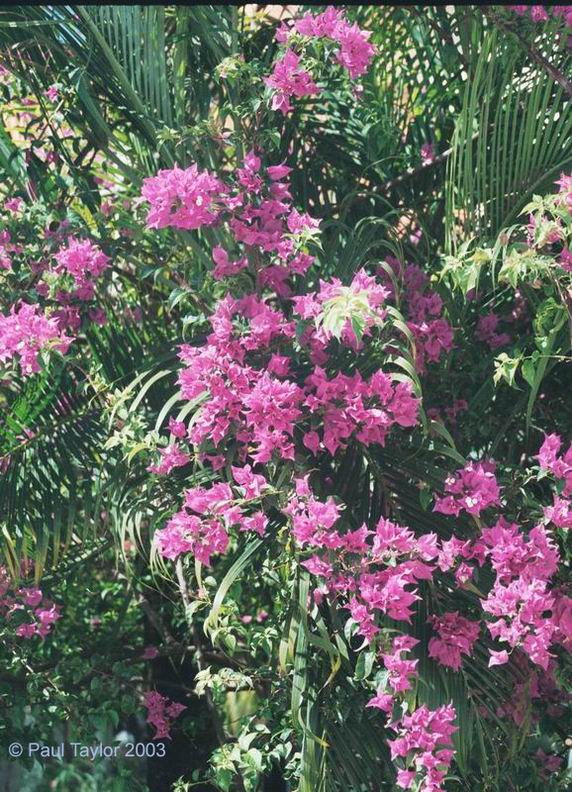 Natur640