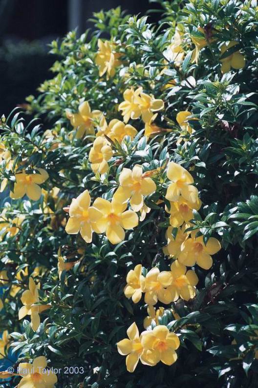 Natur661
