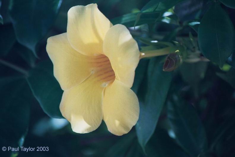 Natur662