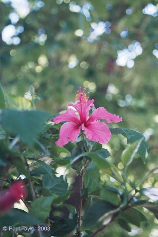 Natur664