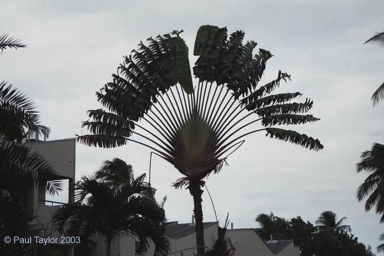 Natur680