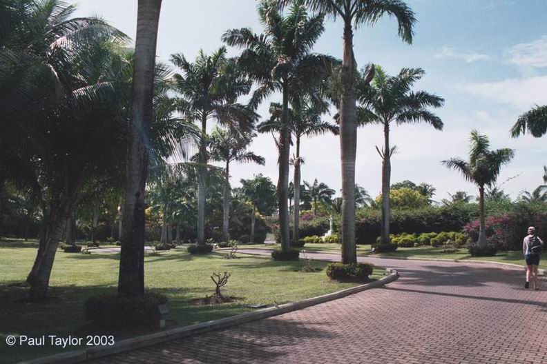 Hotel502