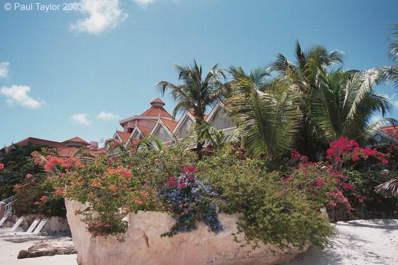 Hotel529