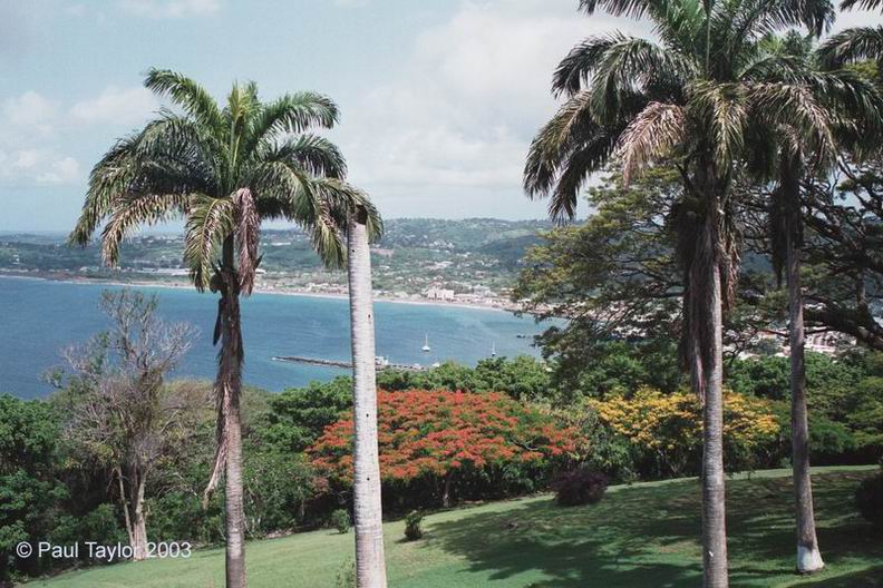 Tour229