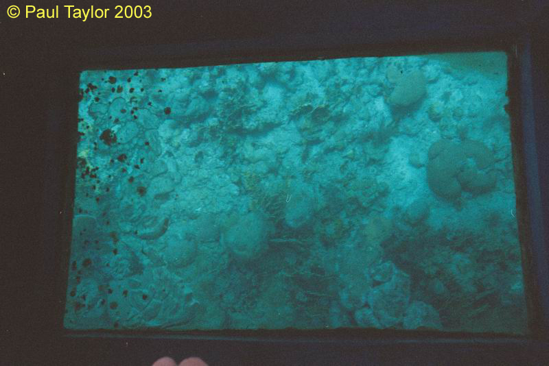 Underwater417