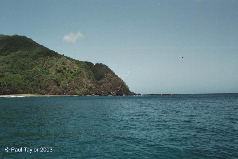 View403