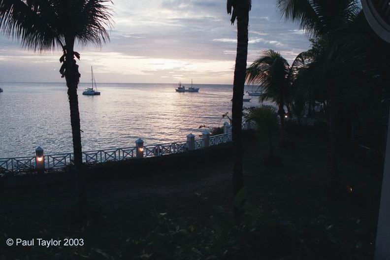 View411