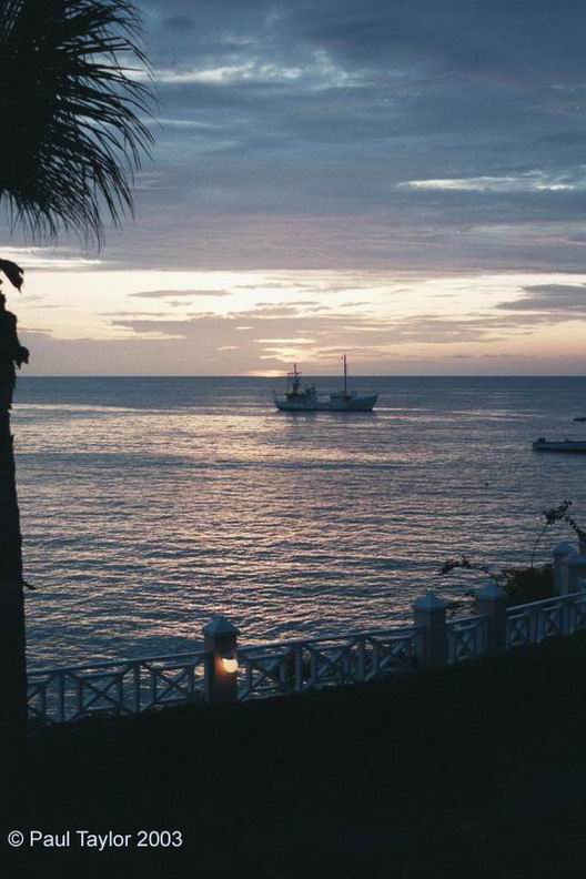 View412