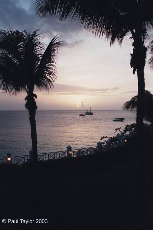 View437