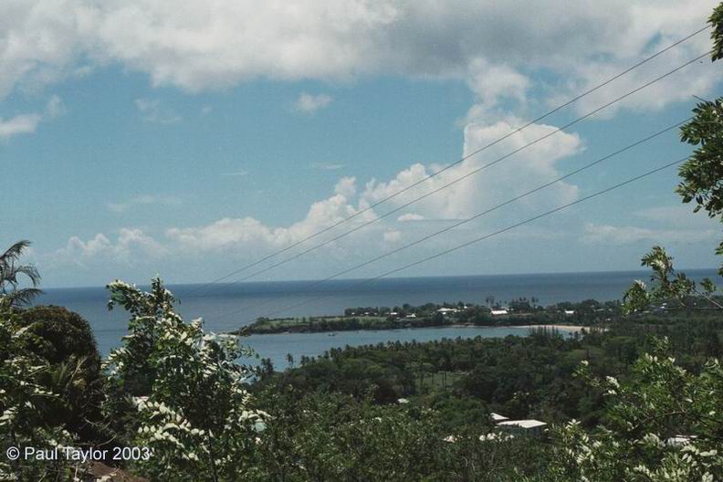 View461
