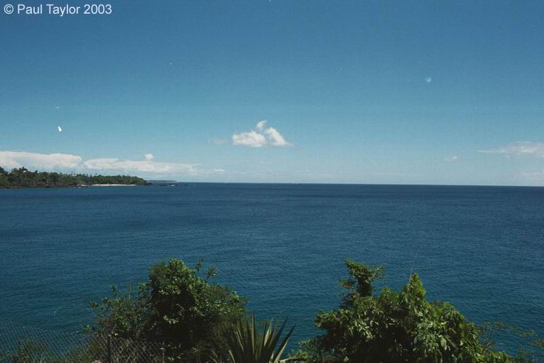 View468