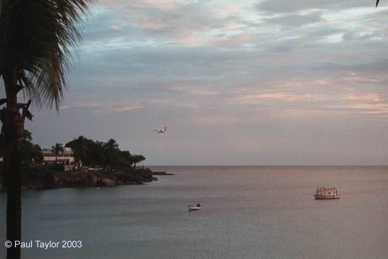 View493
