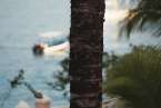 Natur601