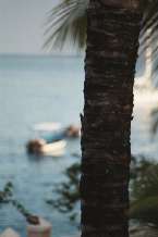 Natur602