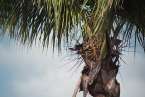 Natur605