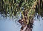 Natur606