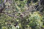 Natur630