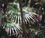 Natur634