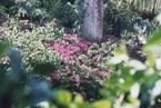 Natur638