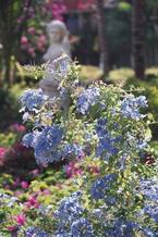 Natur639