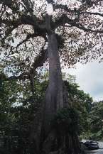 Natur652