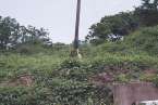 Natur658
