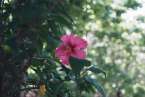 Natur663