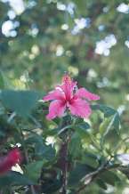 Natur664