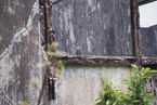 Natur677