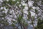 Natur679