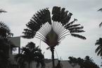 Natur680