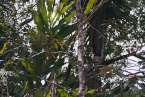 Natur693
