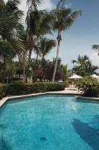 Hotel541