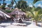 Hotel554