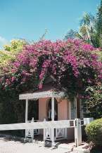 Hotel558