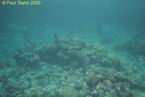 Underwater04