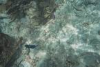 Underwater10