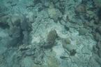 Underwater14