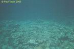 Underwater16