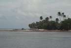 View409