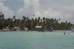 View433