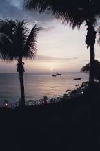 View437