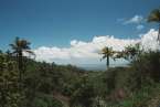 View460