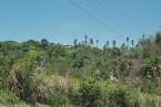 View462