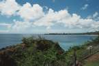 View469